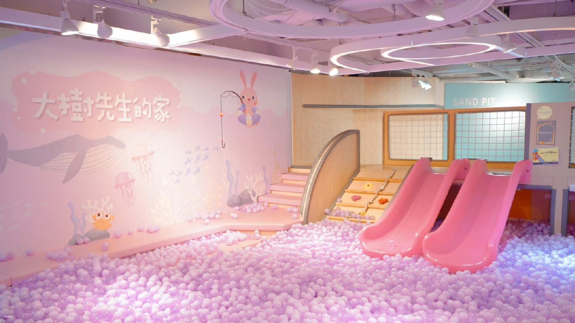[Good place for families] Mr. Big Tree's Home｜Super popular family restaurant｜Indoor playground｜Signature check-in bubble pool｜D2 Place in Lai Chi Kok｜Causeway Bay - Photo 1 of 9
